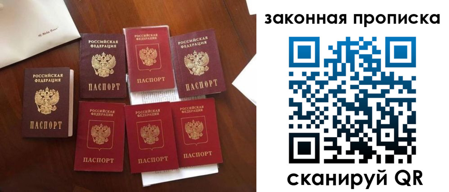 прописка для школы в Кургане